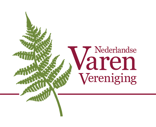 Nederlandse varenvereniging